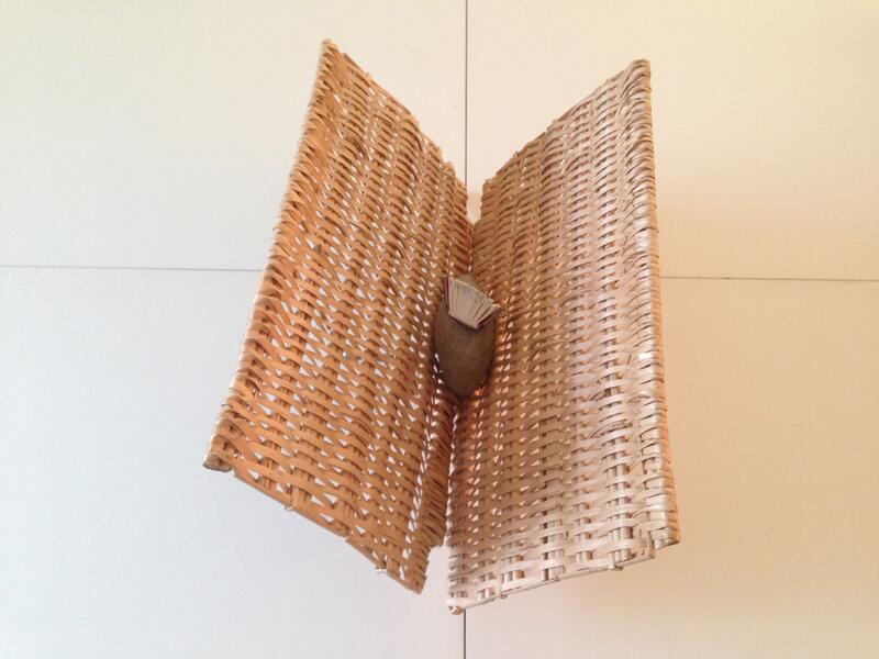 Libro Mariposa