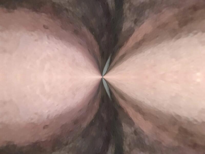 spider.jpg