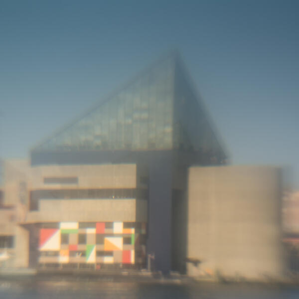 DSC_4733.jpg
