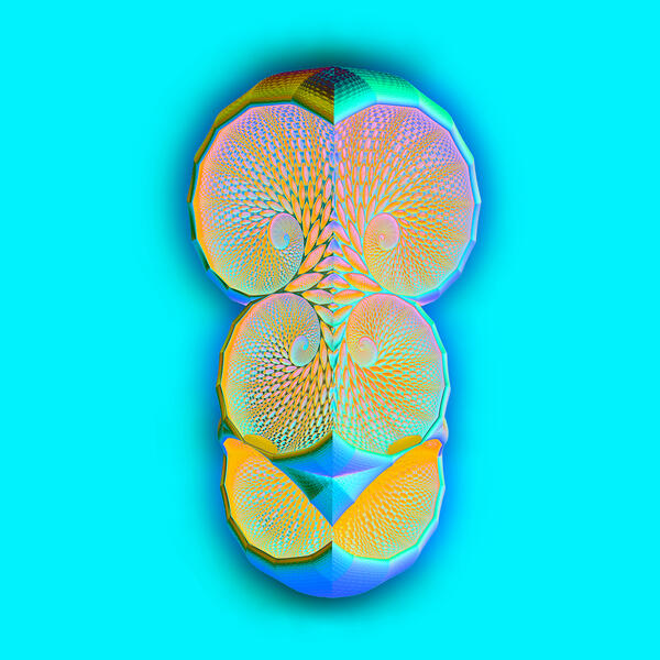 FuturePrimatives.02.25.20[StrangeFruit1]