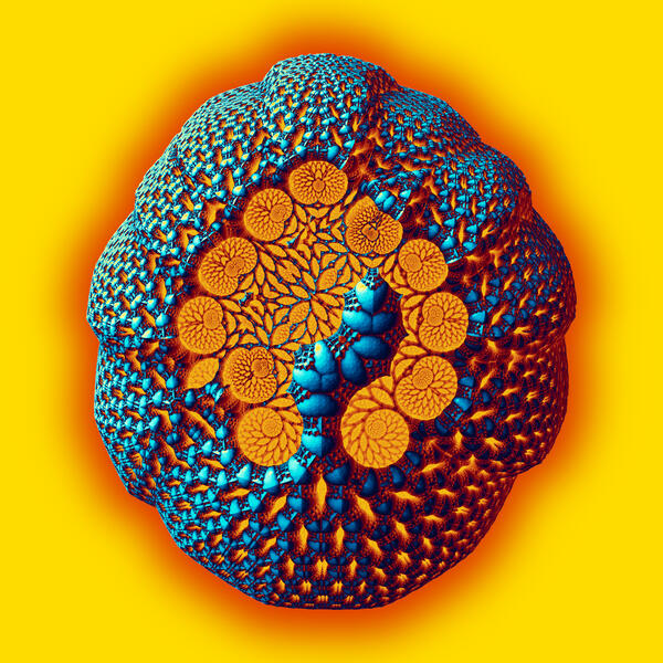 NewVariants.04.19.22a[SeedSelfSewn]