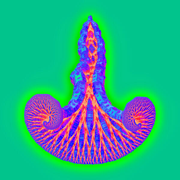 P_X.007[LittleHorn-2]