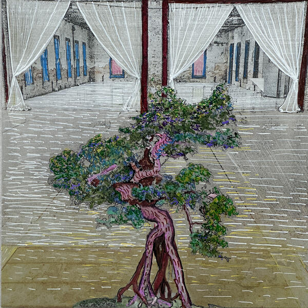 Bonsai As Theater