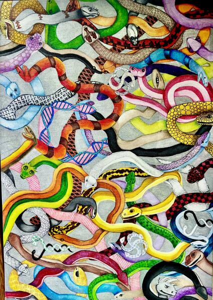 SNAKES N SNAKES.jpeg