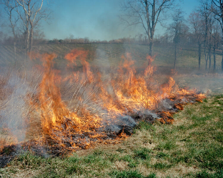 Dodon Farm Fire