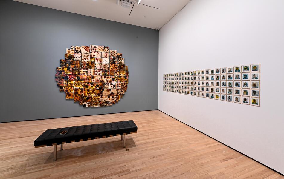 Faces Installation View