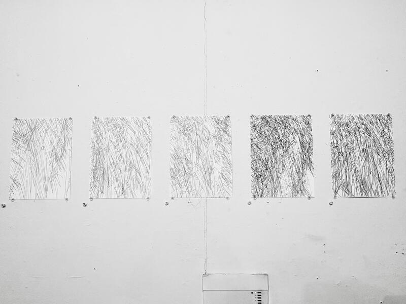 In the Garden (Wall Installation) No. 1, 2024.