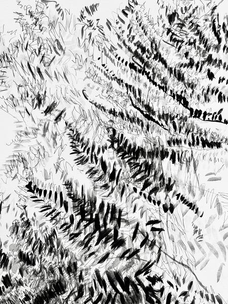 Garden Shadow Happenings (Fern) 2025.