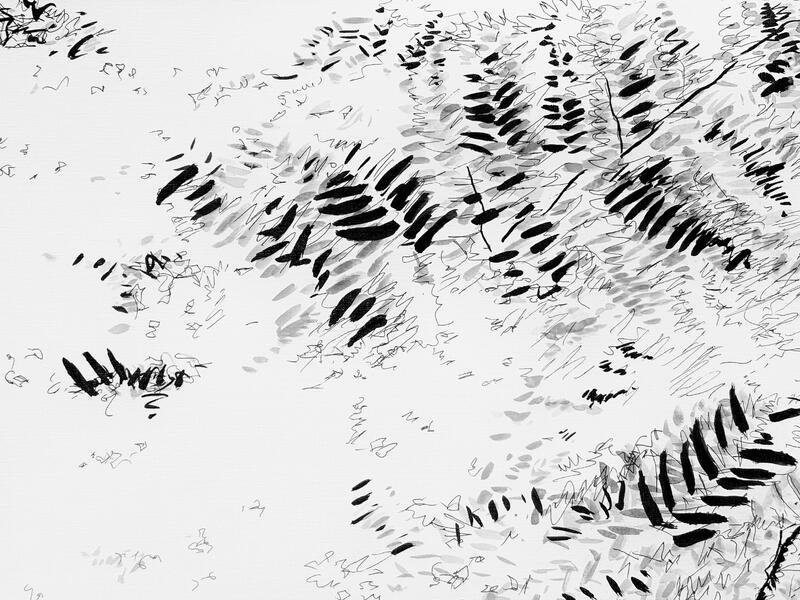 Garden Shadow Happenings  (Fern) 2025.