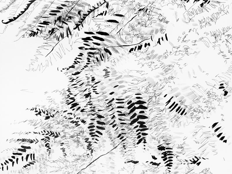 Garden Shadow Happenings  (Fern) 2025.