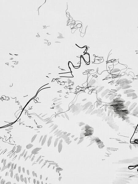 Garden Shadow Happenings  (Dimensional) 2025.