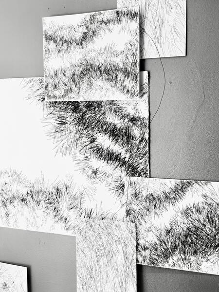Backyard Shadow Happening (Evergreen ) Wall Installation No. 1