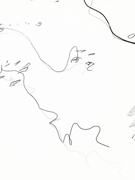 Garden Shadow Happenings  (Dimensional) 2025.