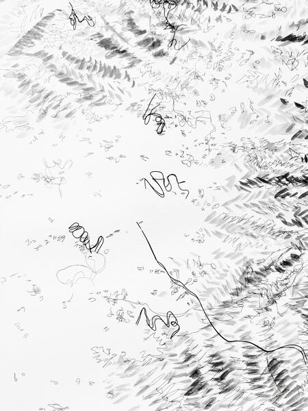 Garden Shadow Happenings (Dimensional) 2025.