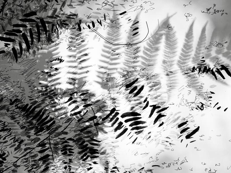 Garden Shadow Happenings  (Fern) 2025.