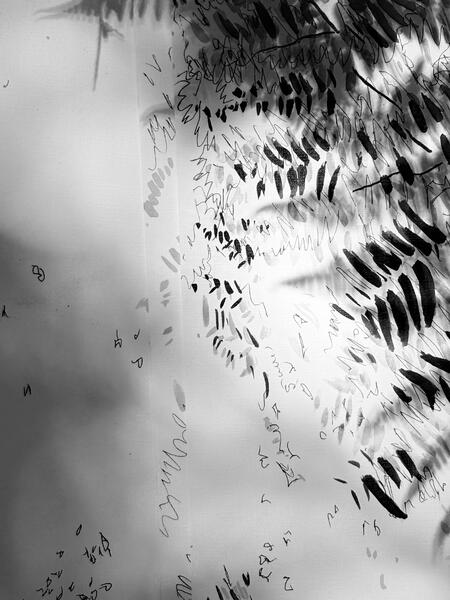 Garden Shadow Happenings (Fern) 2025.