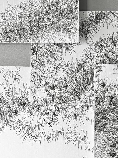 Backyard Shadow Happening (Evergreen ) Wall Installation No. 1