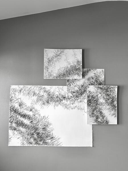 Backyard Shadow Happenings (Wall Installation) No. 2. 2025.