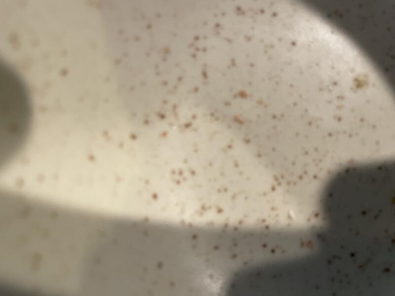 Speckled