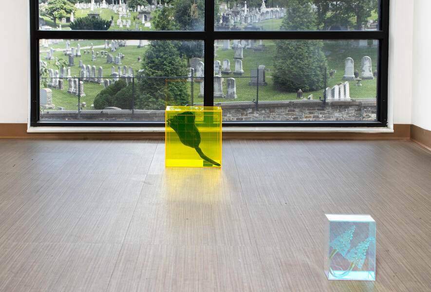 Simulations Installation