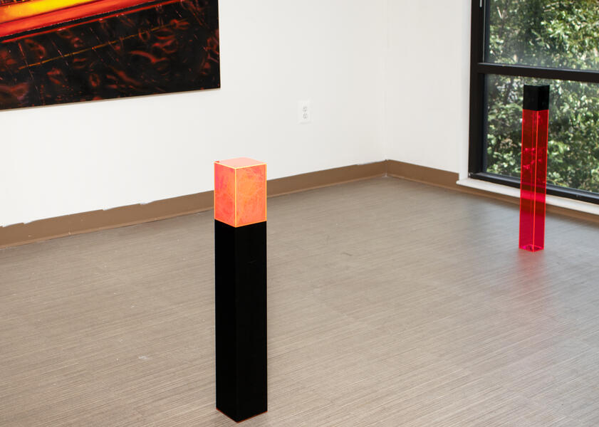 Neither Possessing nor Requiring Consciousness (Installation)