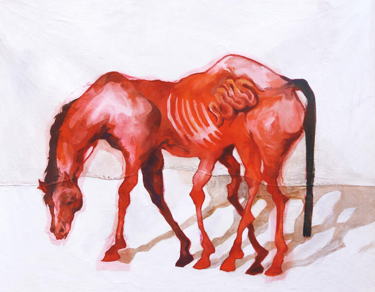 This Horse Has Too Many Legs