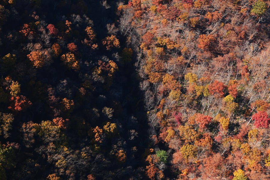 Gunpowder Shadow and Light