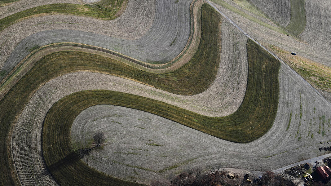 Terraced Field and Lone Tree 2