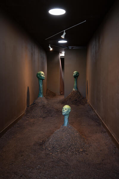 S E E D (Installation)