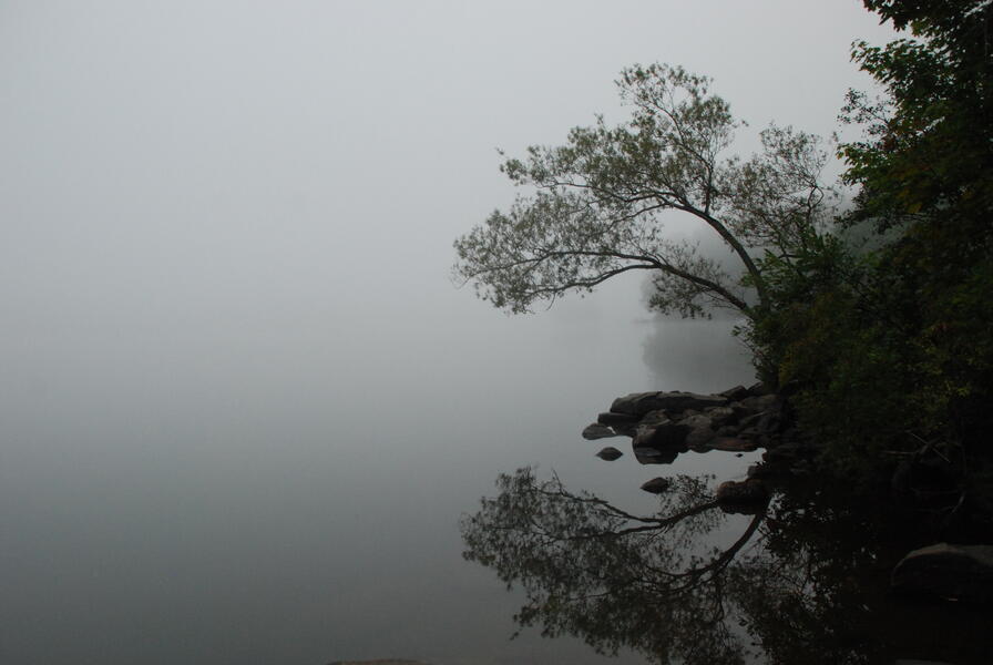 Fog on the Lake