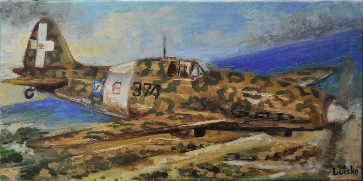 Macchi 202_Folgore_togo.jpg