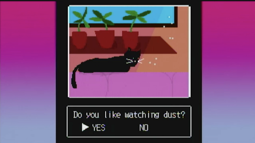 A cat watching dust 