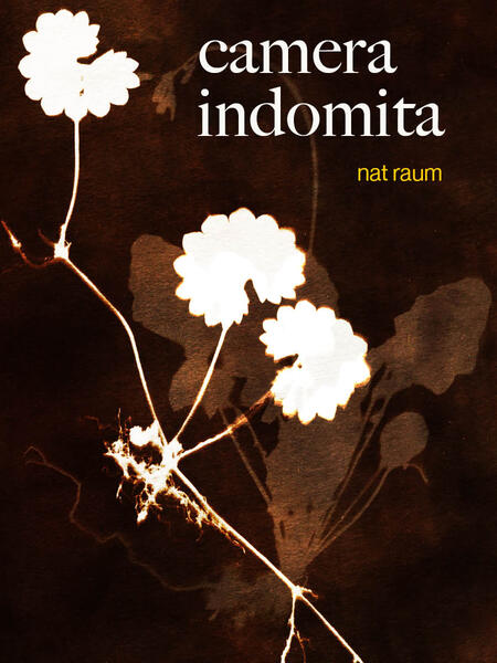 camera indomita cover