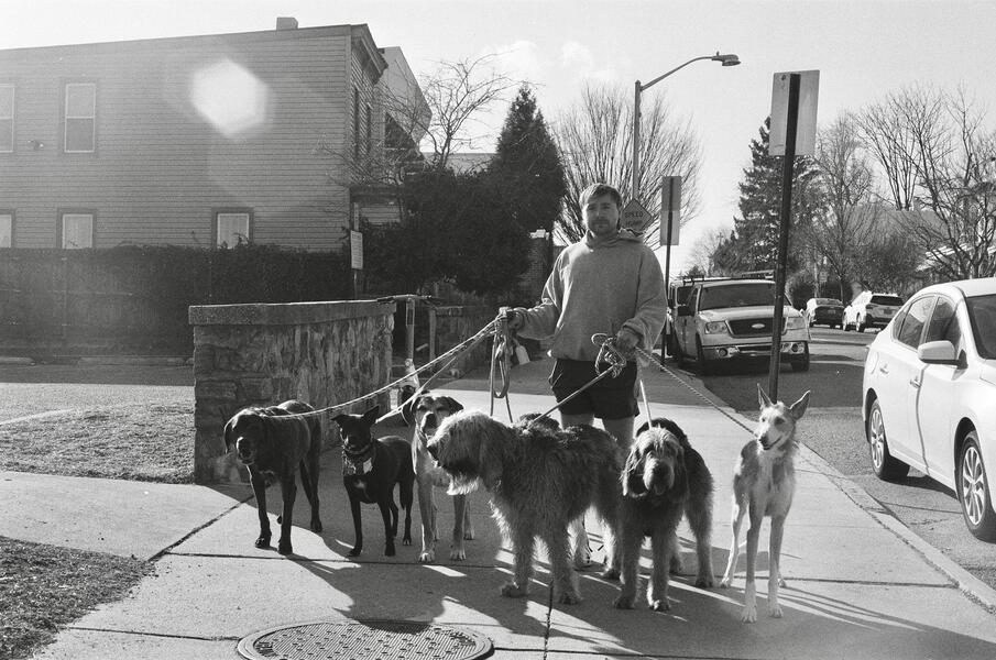 The Famous Dog Walker