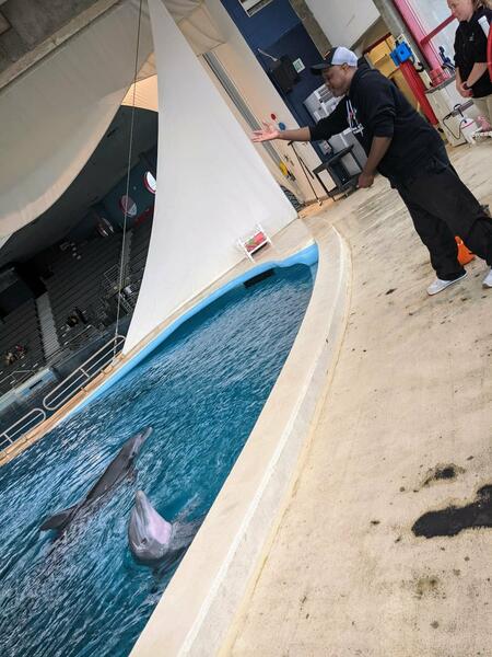 Breath Art + Bioacoustic Experiements in Non-Anthropomorphizing Concepts of Sound for Voyages at the National Aquarium's Dolphin Discovery with Jade, Spirit, Bayley, Chesapeake, Beau & Foster, 2022.