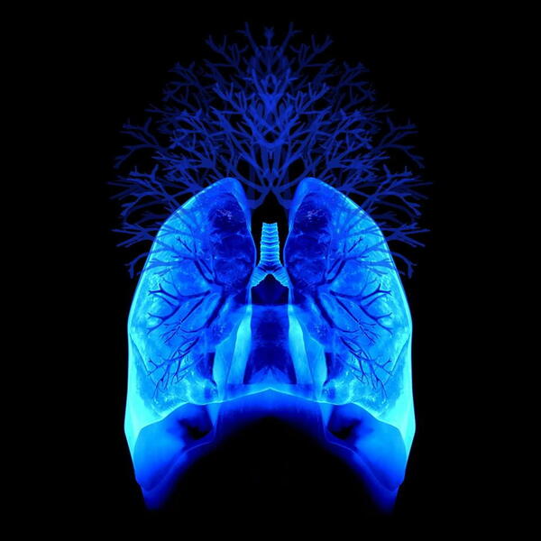 EMBODY Air: An X-ray photograph of Shodekeh's lungs taken at MEDStar Harbor Hospital & synthesized into artwork by Erica Hansen. Curated & installed by Shodekeh for Embody, A Festival & Series of the Vocal Arts @ The Creative Alliance, 2010.