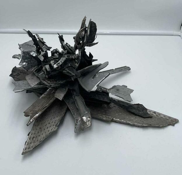 Branches of the same tree