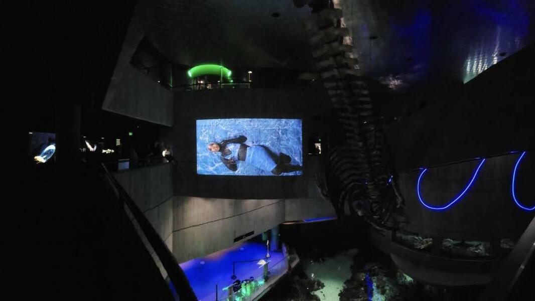  Neutral Buoyancy, 2023