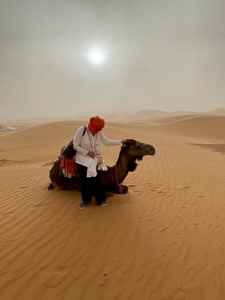 Considering The Camel