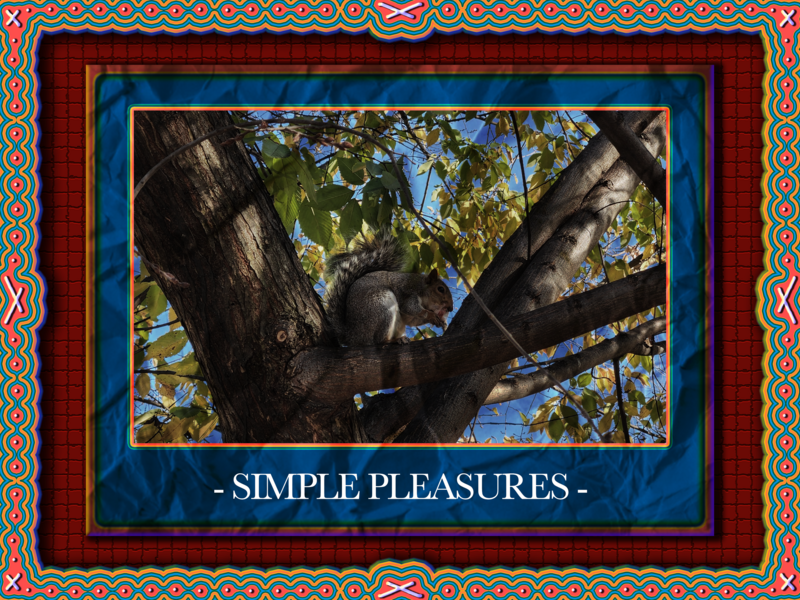 A poster of a squirrel I created as a background asset