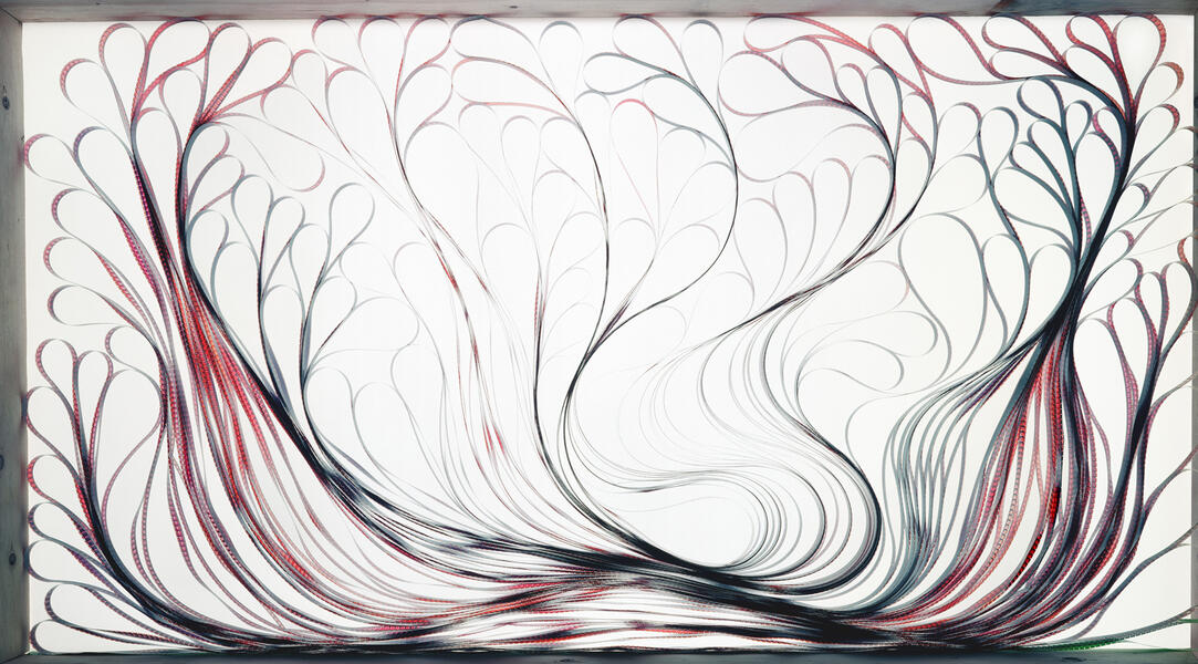 Discard 5 (Enoch Pratt Library, Baltimore, MD)