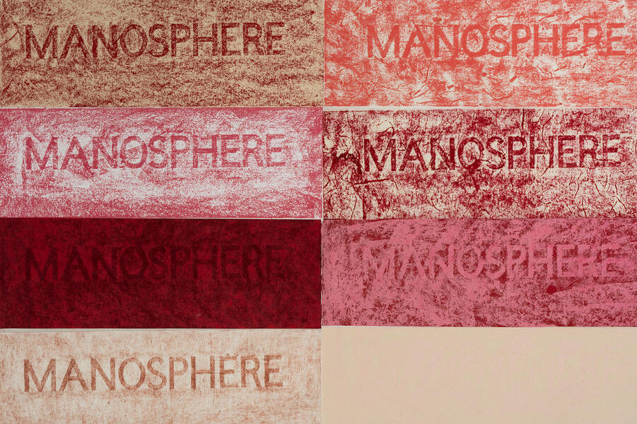 detail: Manosphere (red)
