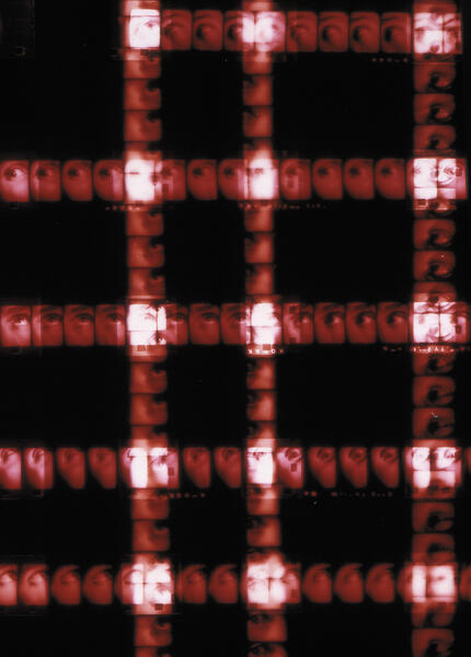 Plaid 7 (red paranoia), detail