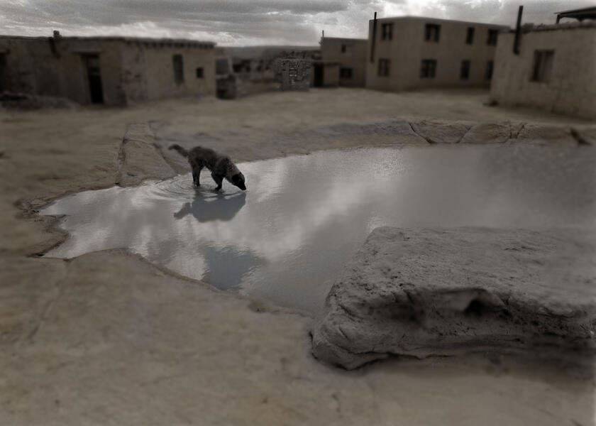 Sky City Dog Acoma , NM