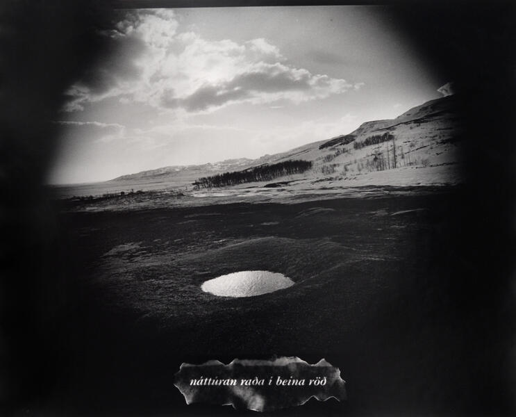 Glacier Trek, Iceland