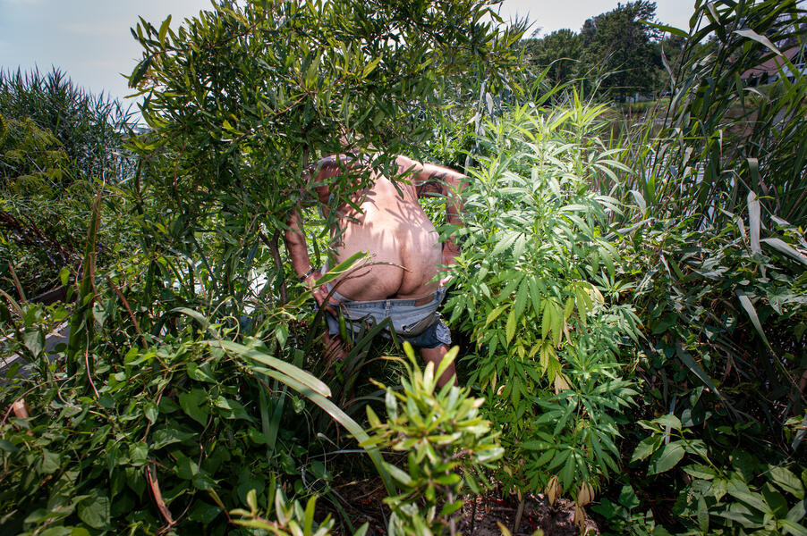 His Pot Plants and a Message to the Government