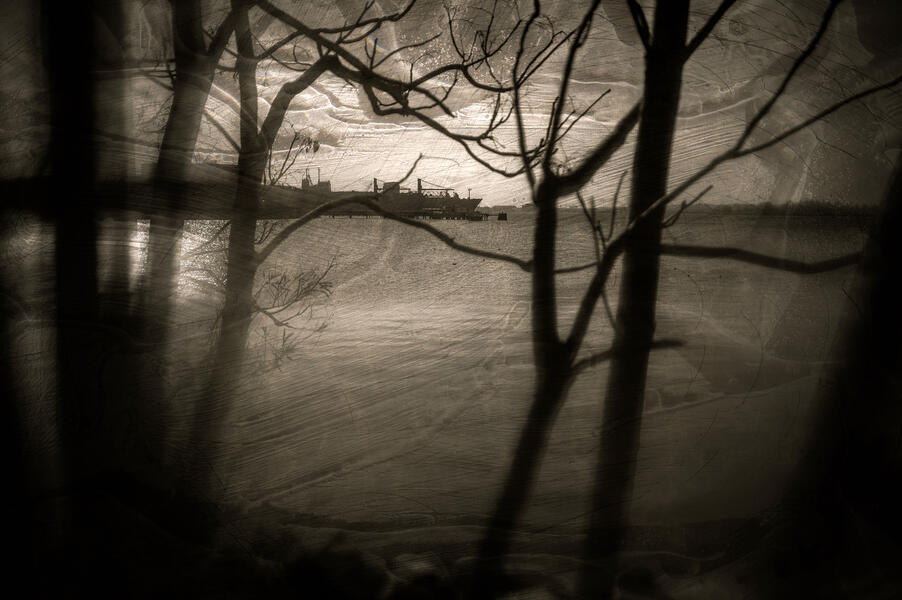 Port Through the Trees