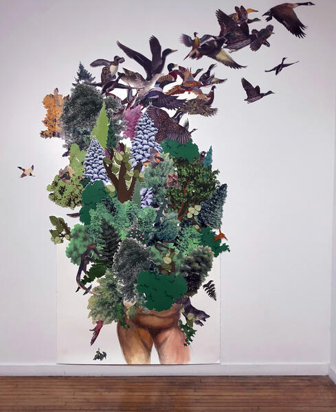 Country A Wilderness Unsubdued