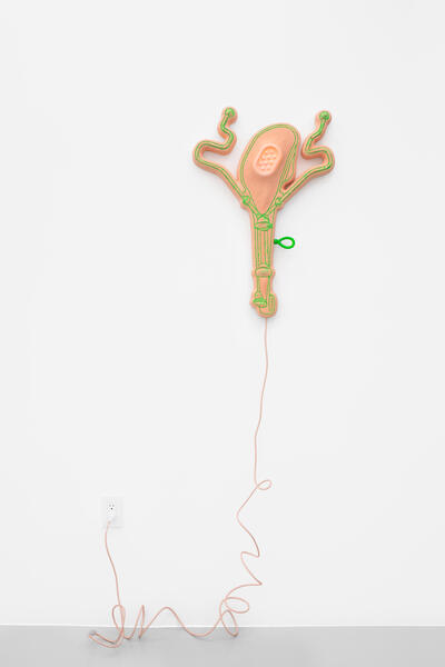 Speculative Speculum