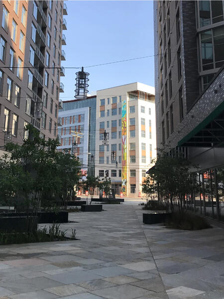  Stagioni di Vita (Seasons of Life), Brightview Woodmont Bethesda, view from Sculpture Walk